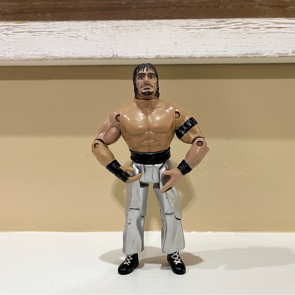 ECW/WWE Sabu Exclusive Wrestling Action Figure Toy
